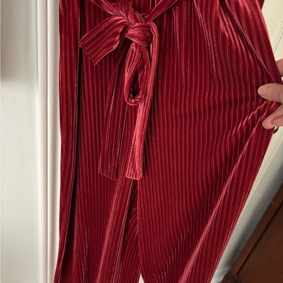 Anthro Velvet Jumpsuit - Picture 6 of 7